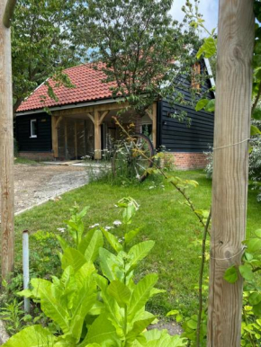Foxgloves self catering